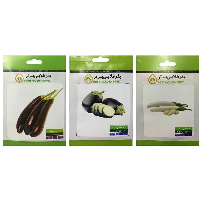 بذر بادمجان بذر طلایی برتر کد P-B-BZT-03 مجموعه 3 عددی