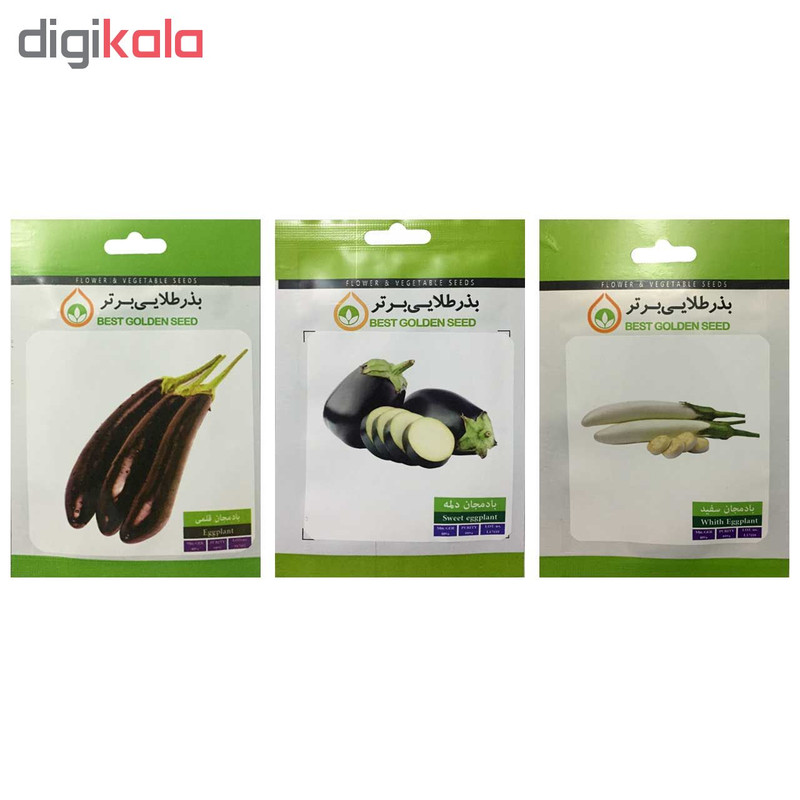 بذر بادمجان بذر طلایی برتر کد P-B-BZT-03 مجموعه 3 عددی