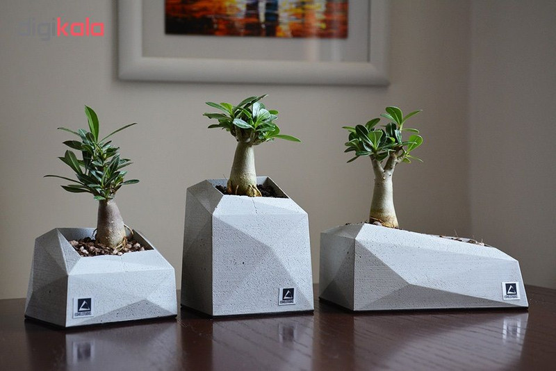 گلدان استودیو اشل مدل E1 مجموعه 3 عددی