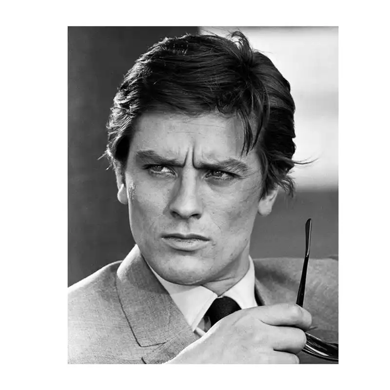 تابلو شاسی طرح آلن دلون