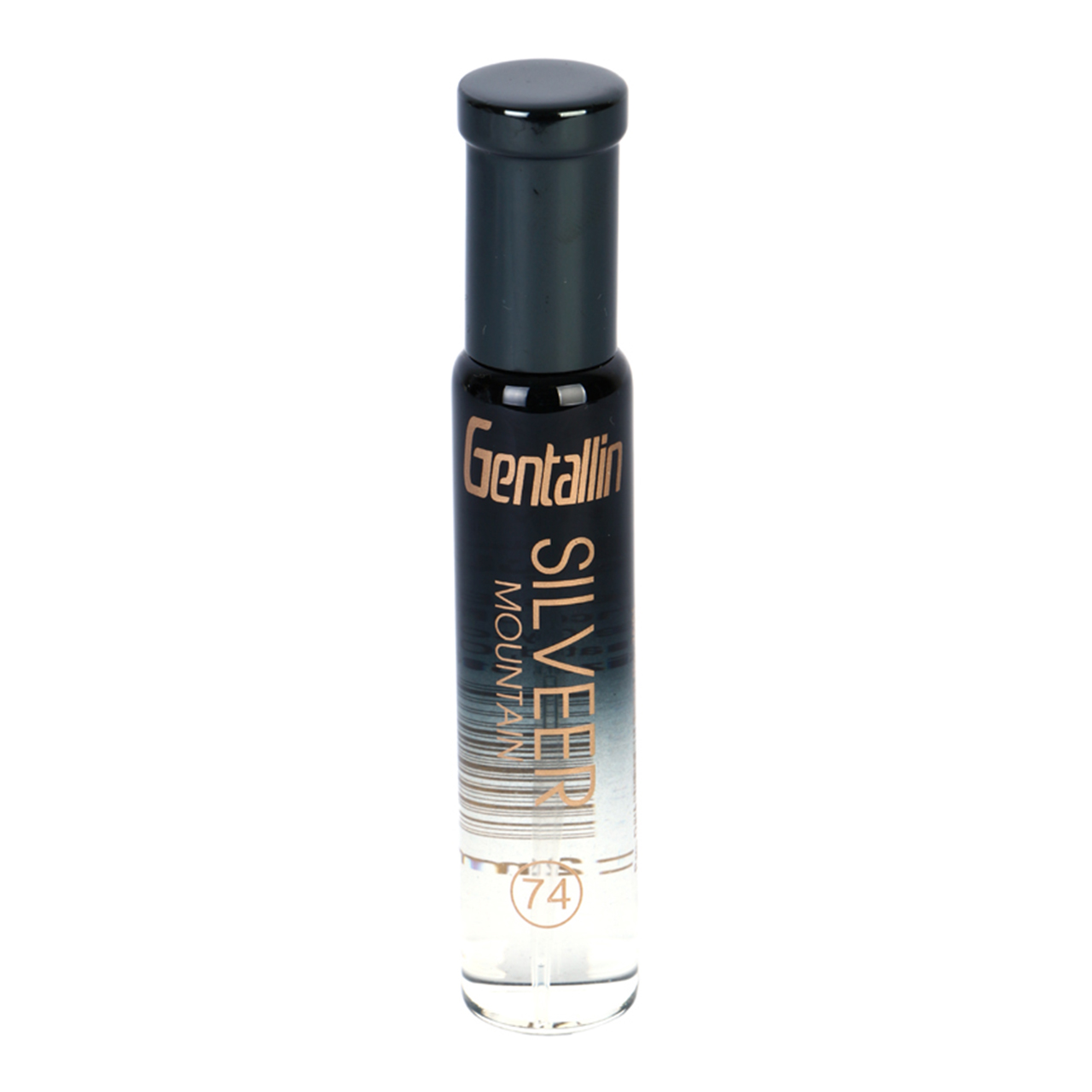 عطر جیبی جنتالین مدل SILVER MOUNTAIN حجم 25 میلی لیتر