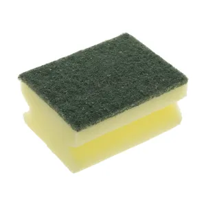 Pakizeh 110217 Scouring Pad