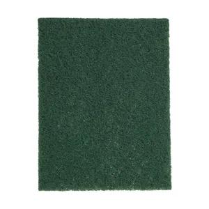 Pakizeh 110163 Scouring Pad