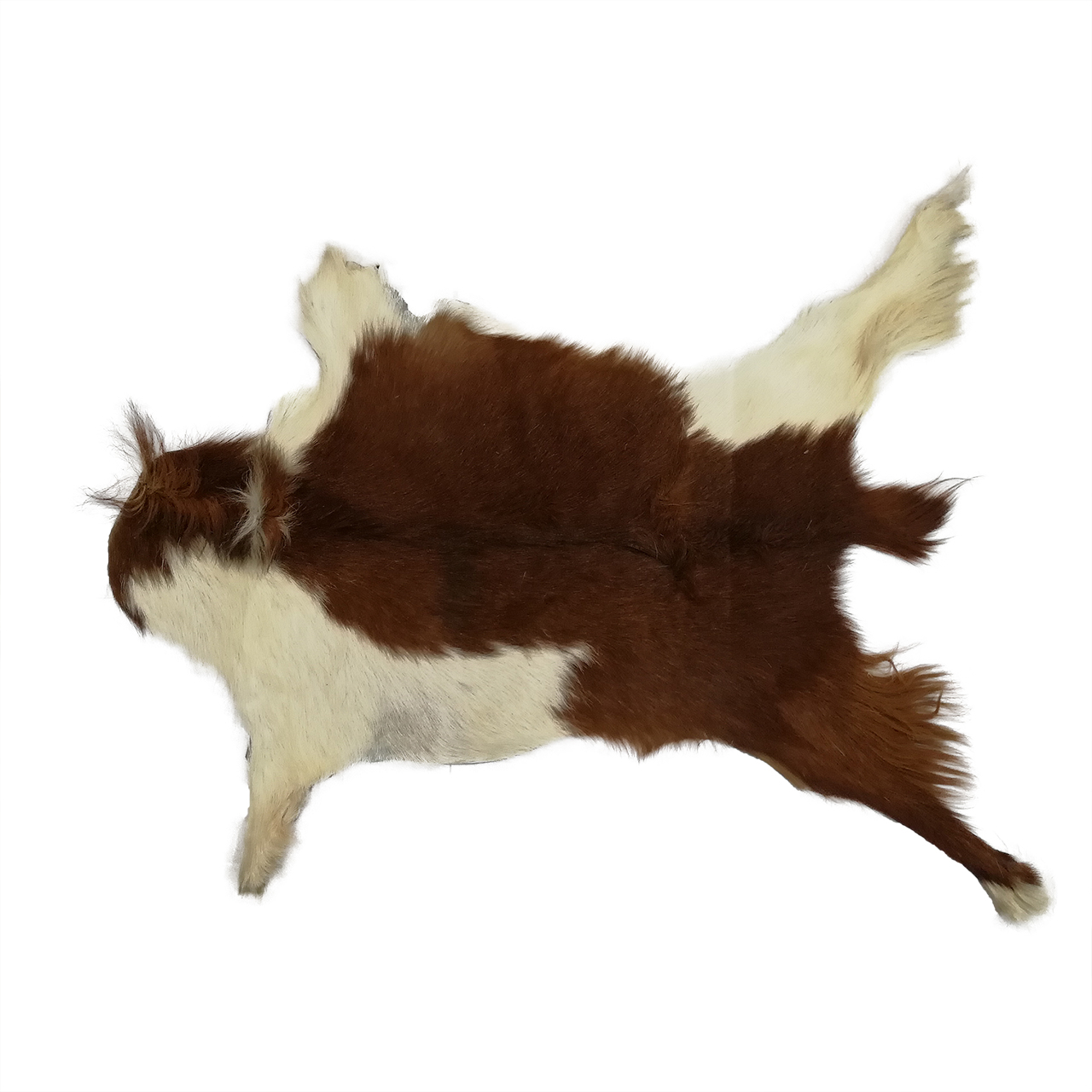 فرش پوست و چرم کمالی مدل AC-00419