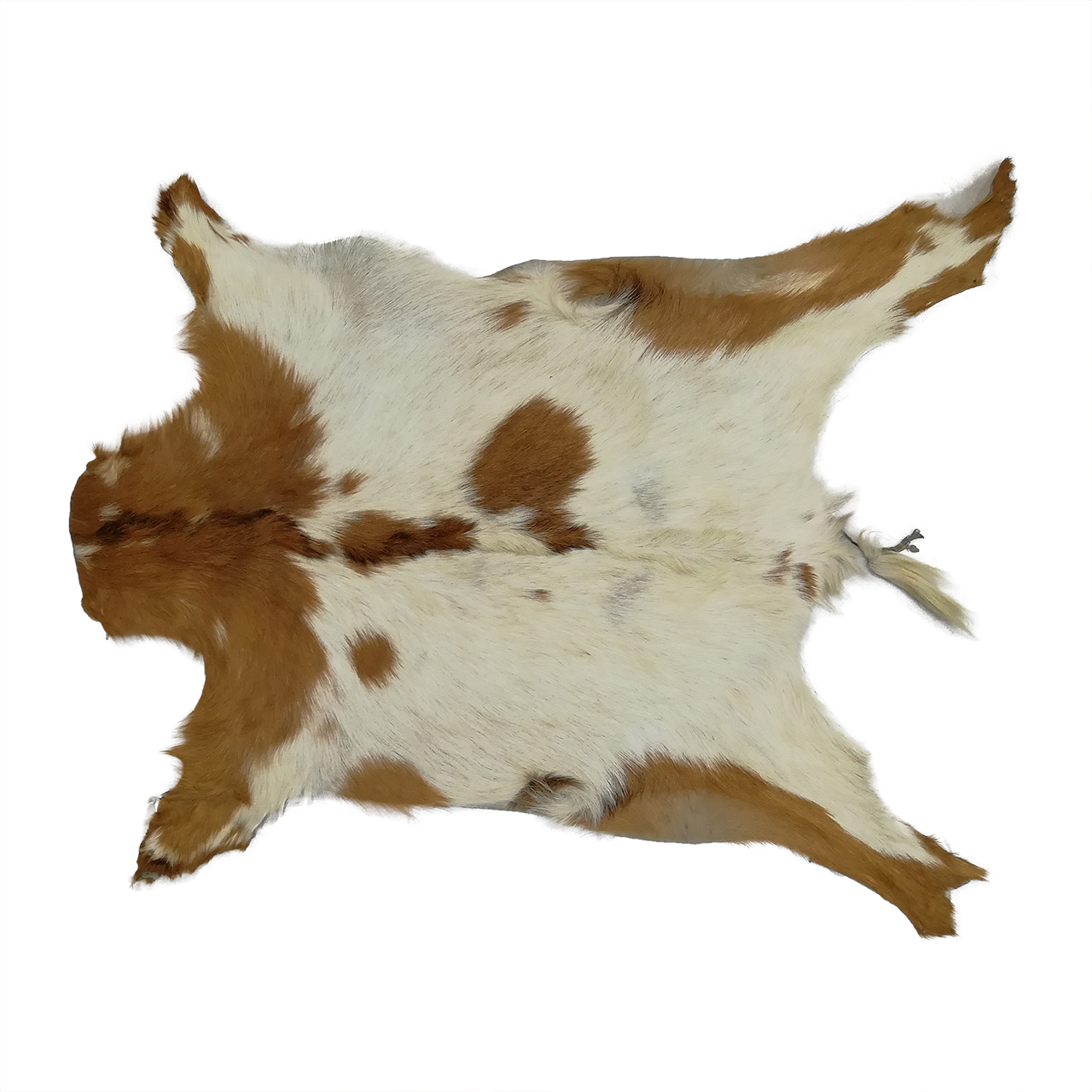 فرش پوست و چرم کمالی مدل AC-00422