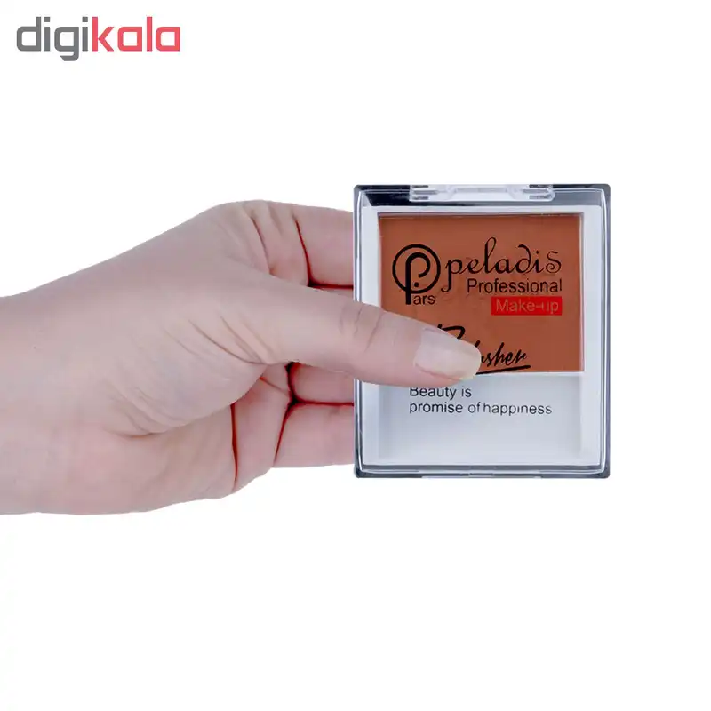 رژ گونه پارس پلادیس مدل True Match شماره 105