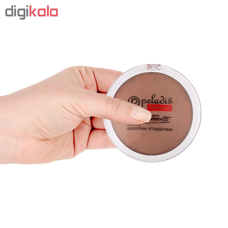 رژگونه پارس پلادیس مدل Promise شماره 105