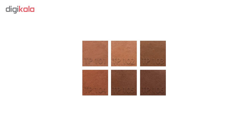 رژگونه پارس پلادیس مدل Promise شماره 105