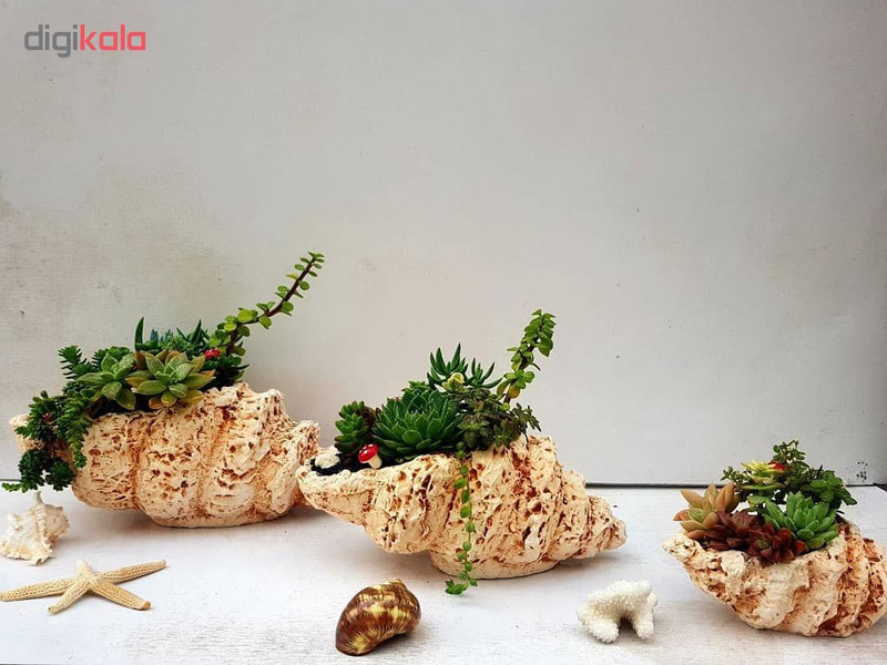 گلدان طرح صدف کد w3 گلدان طرح صدف کد w3
