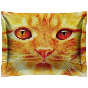 P2-20049 Pillow