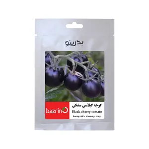 بذر گوجه گیلاسی مشکی بذرینو کد 143