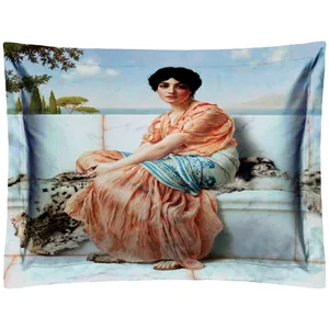 بالشت مدل P2-20717 سایز 50x70