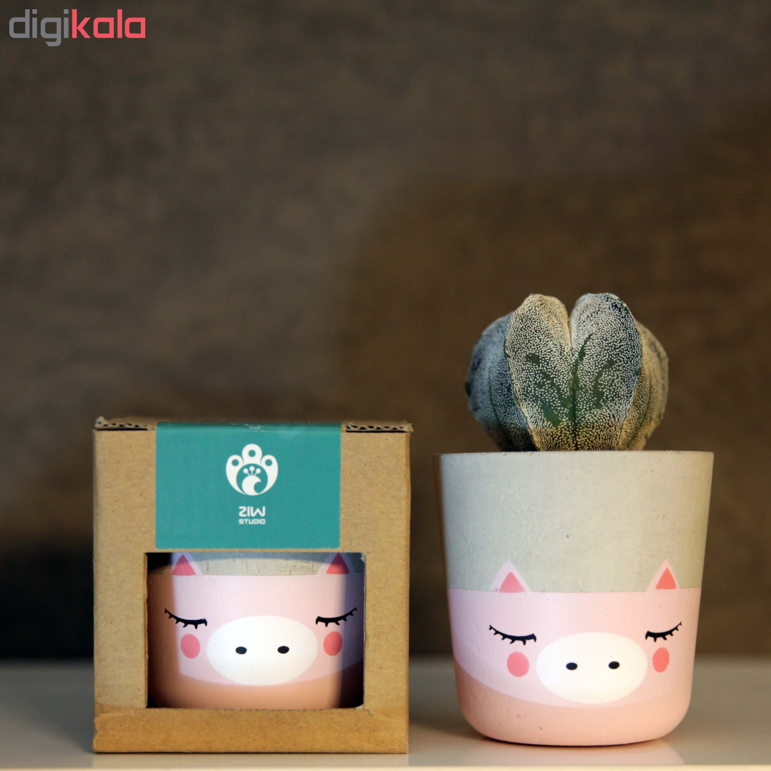 گلدان زیو استودیو مدل ALPI-1 گلدان زیو استودیو مدل ALPI-1