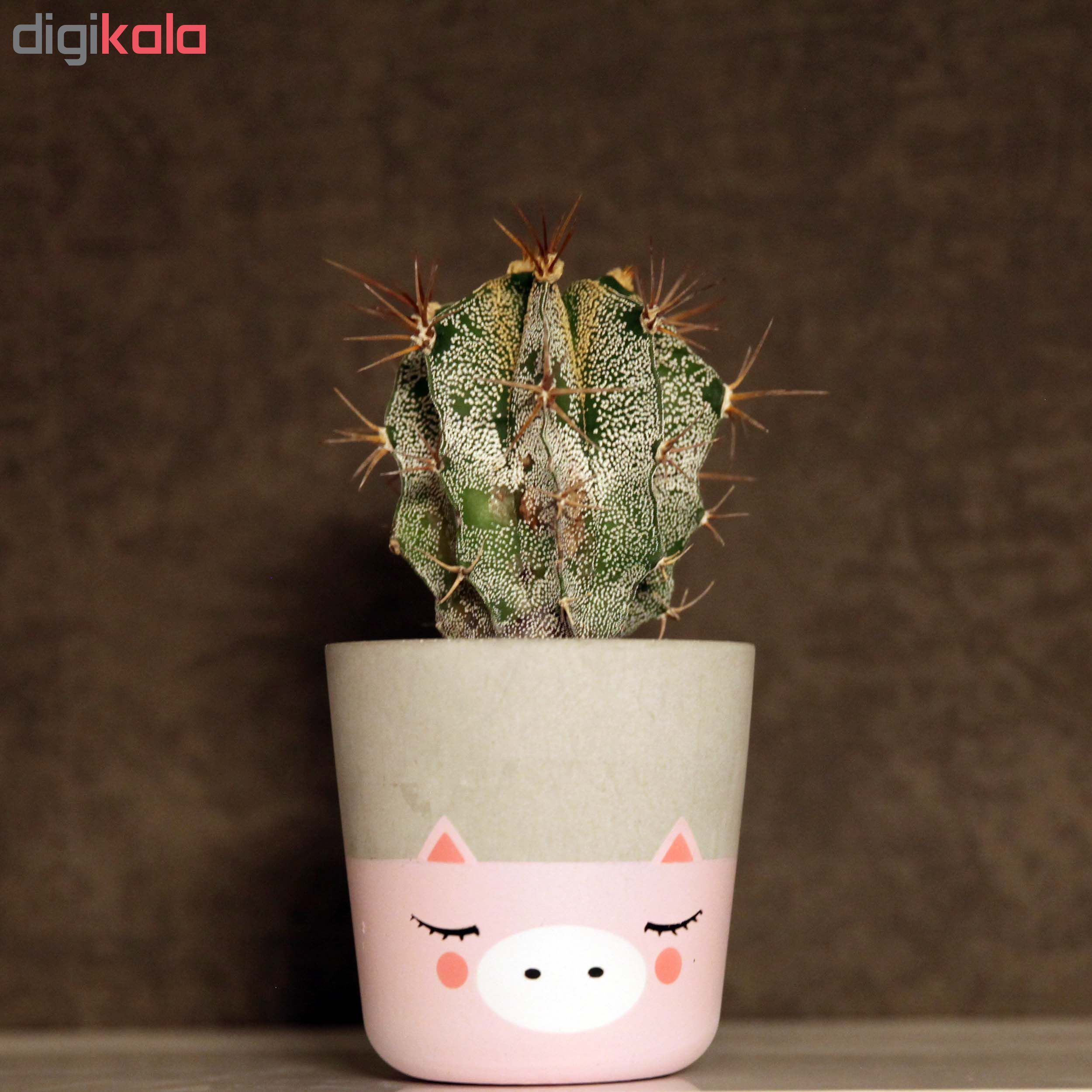 گلدان زیو استودیو مدل ALPI-1 گلدان زیو استودیو مدل ALPI-1