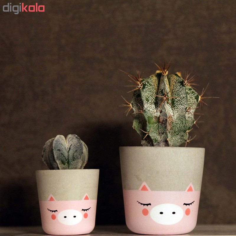 گلدان زیو استودیو مدل ALPI-1 گلدان زیو استودیو مدل ALPI-1