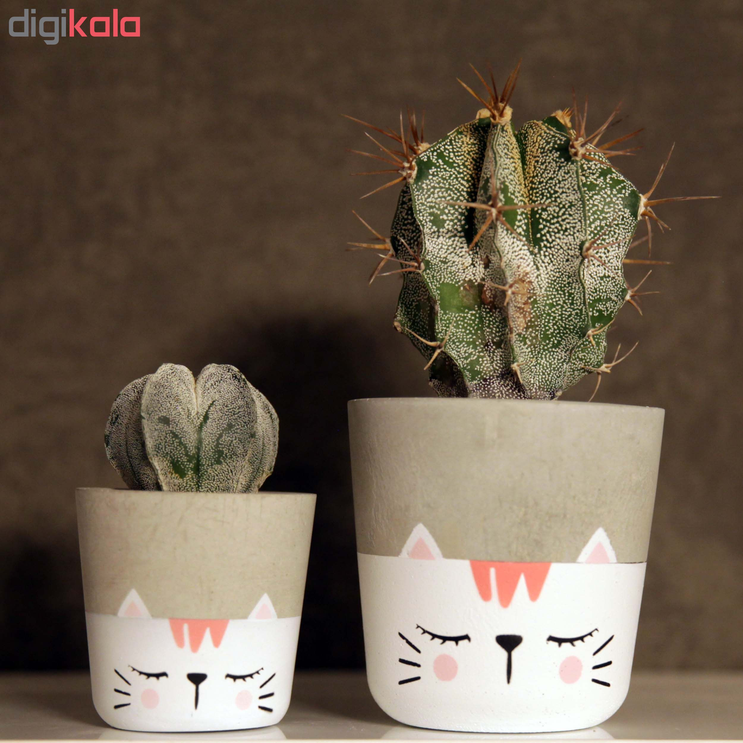 گلدان زیو استودیو مدل ALCA-1