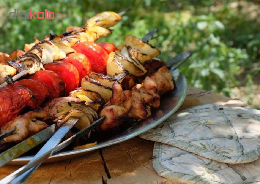 سیخ جوجه مدل SJS2 بسته 6 عددی