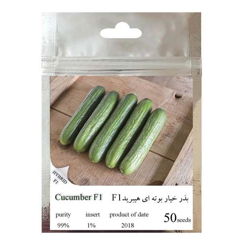 بذر خیار بوته ای هیبرید کد 111