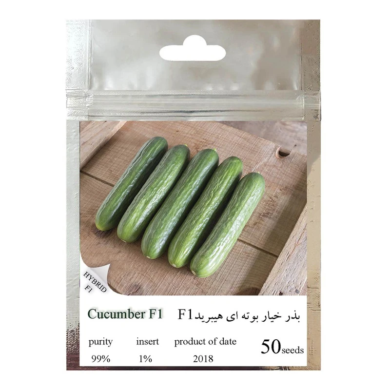بذر خیار بوته ای هیبرید کد 111