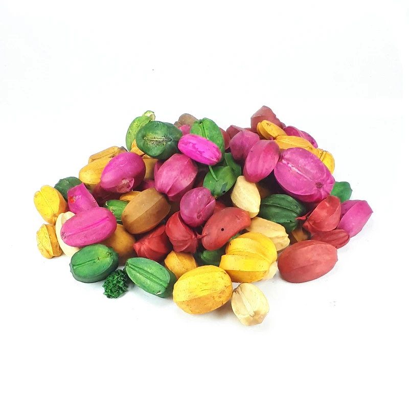 گل خشک مدل لوبیایی