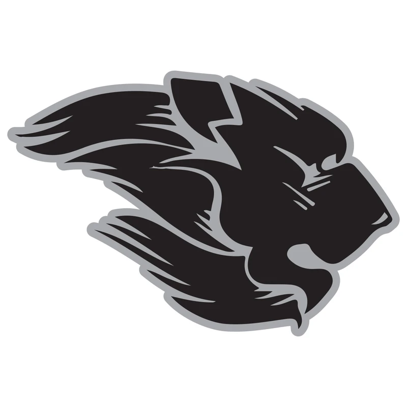 برچسب بدنه خودرو طرح شیر کد 121