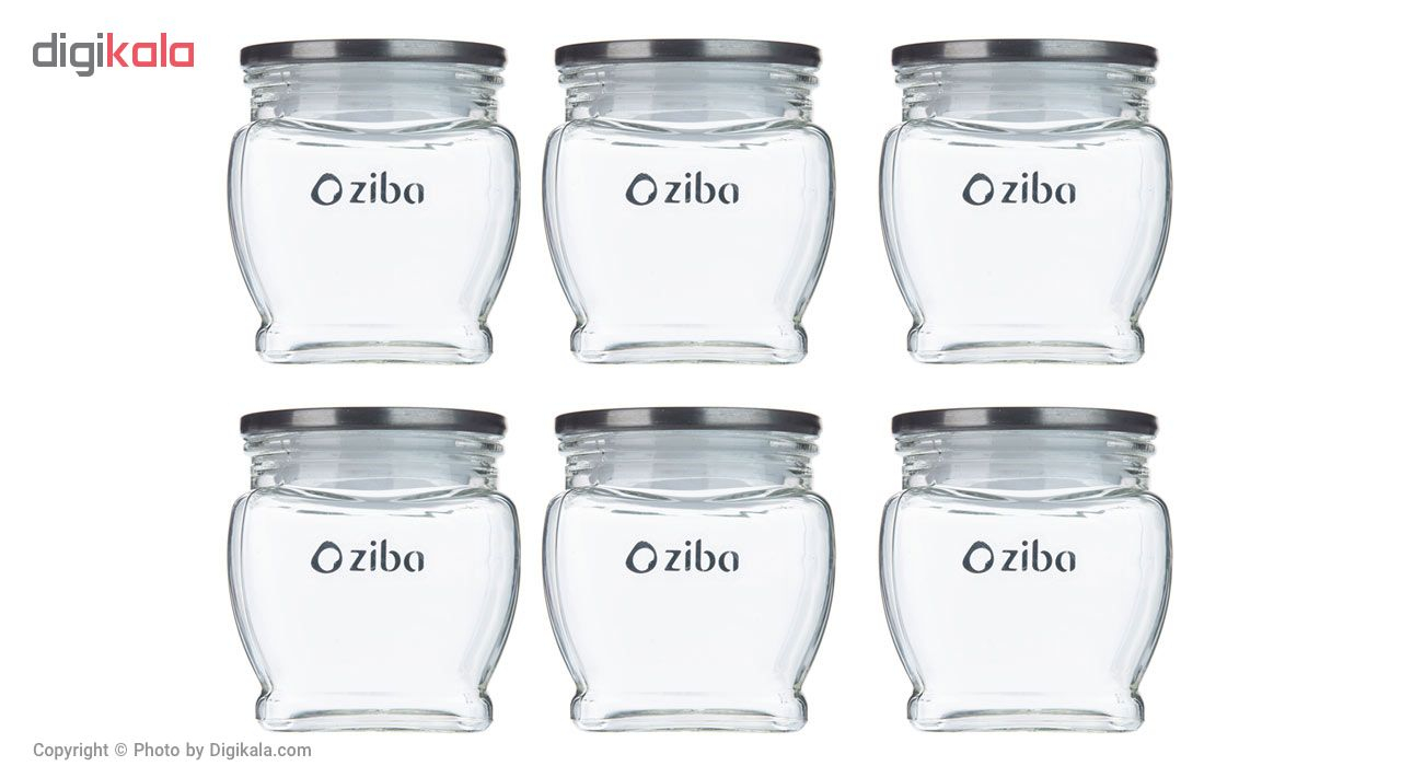 ست جای ادویه زیبا کد 11254-890000 بسته 6 عددی