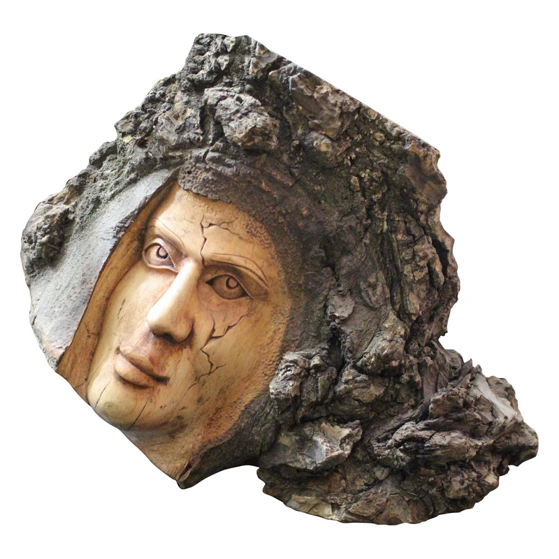 مجسمه منبت مدل راوی