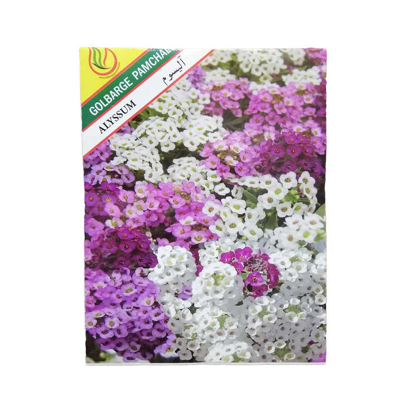 بذر گل آلیسوم گلبرگ پامچال مدل GP05