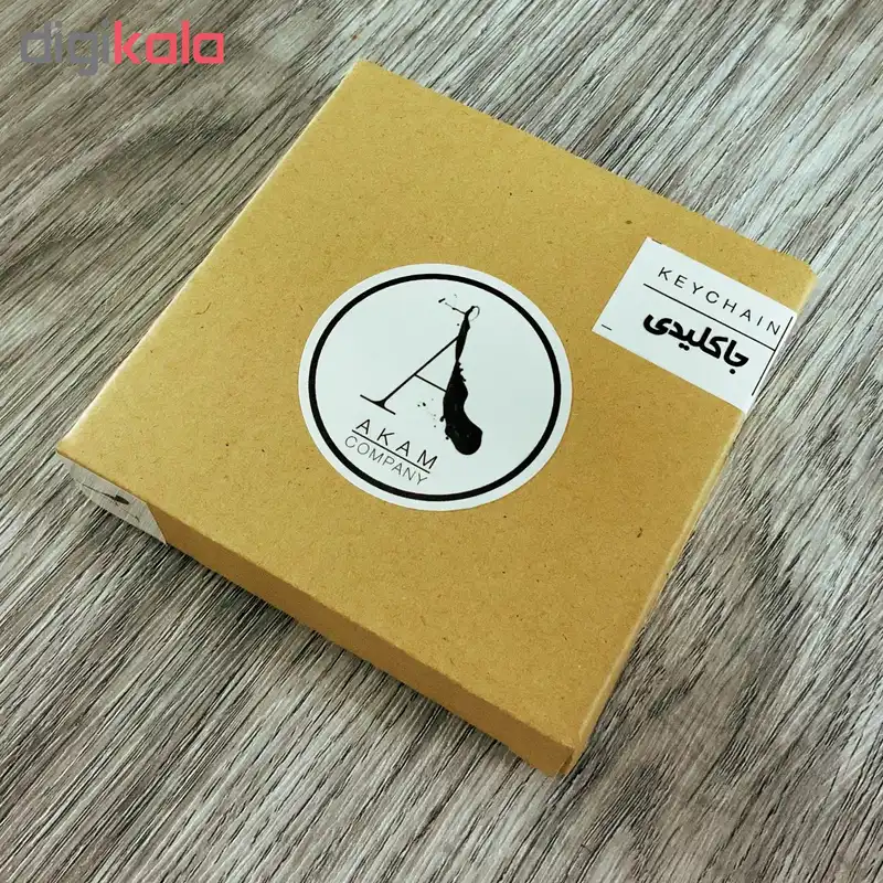 جا کلیدی آکام مدل AKC0101