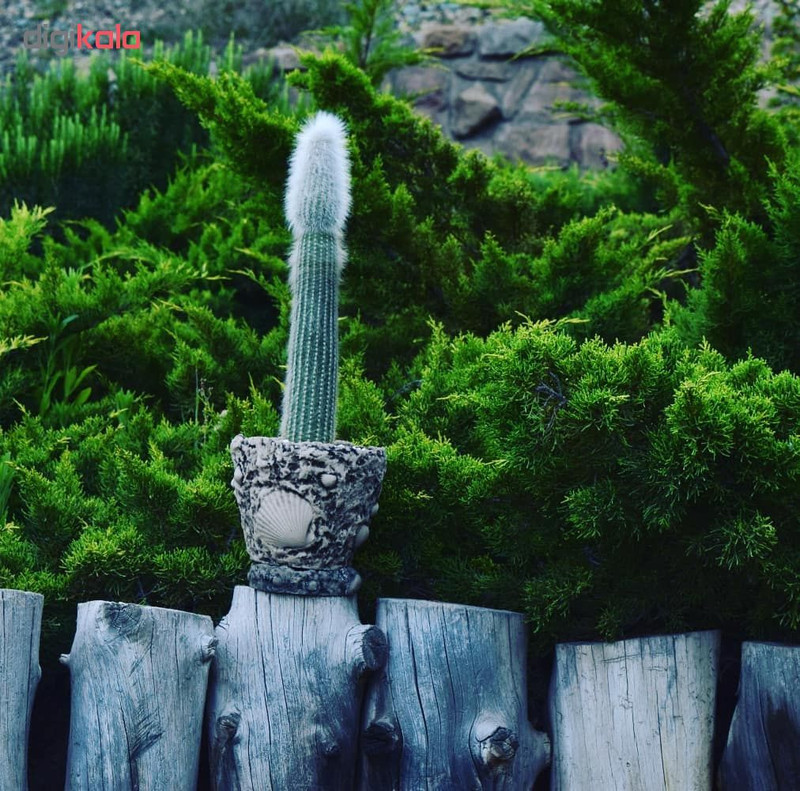 گلدان طرح شن ساحل کد PL2