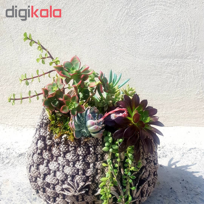 گلدان طرح سبد حصیری کد U1 گلدان طرح سبد حصیری کد U1