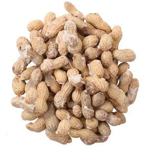 بادام زمینی غلاف‌دار شور فله مقدار 500 گرم