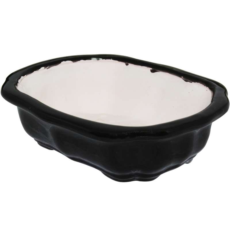 گلدان مدل bonsai