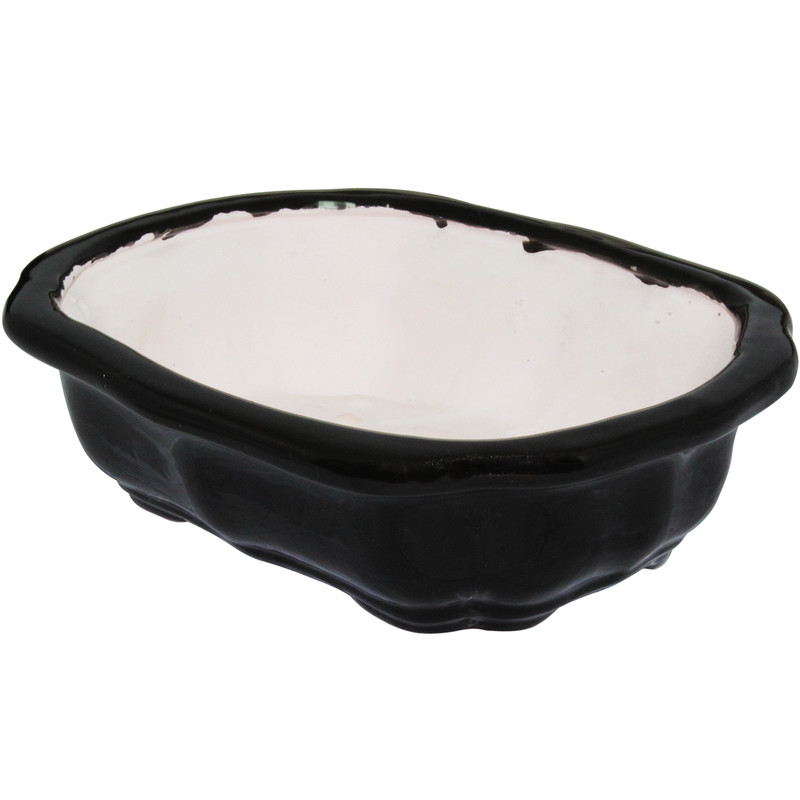 گلدان مدل bonsai