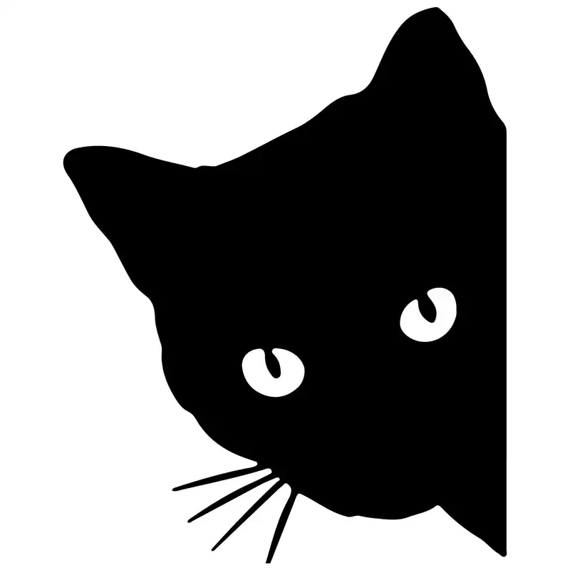 برچسب بدنه خودرو کد 149