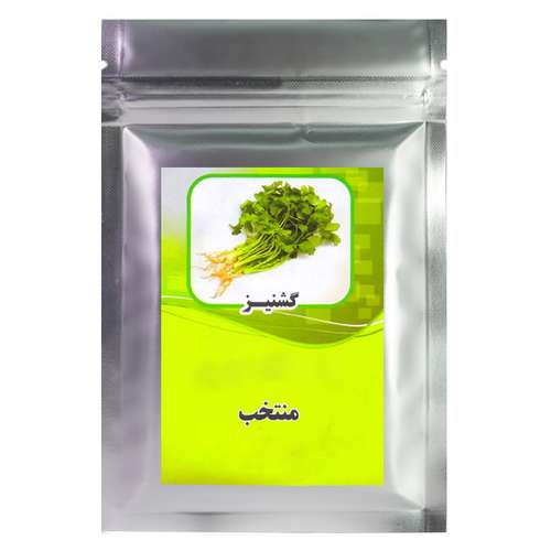 بذر گشنیز منتخب کد 1562539 