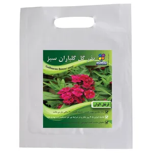بذر گل قرنفل الوان گلباران سبز