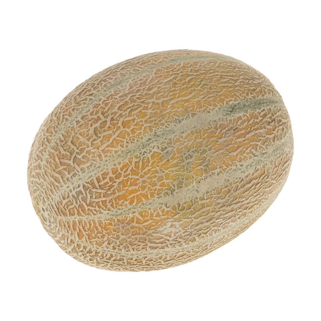 طالبی شاه پسند کوچک Fresh وزن 1 تا 1.5 کیلوگرم