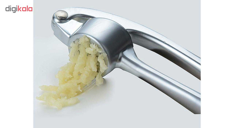 سیر له کن مدل شنگیا سیر له کن مدل شنگیا