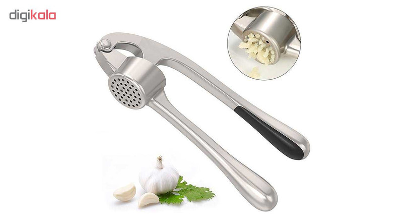 سیر له کن مدل شنگیا سیر له کن مدل شنگیا