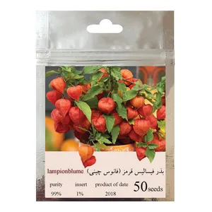 بذر فیسالیس قرمز فانوس چینی کد 001