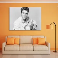 تابلو شاسی طرح الویس Artist 0240