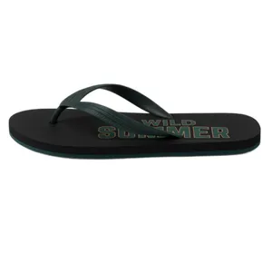 دمپایی لاانگشتی مردانه مدل R40009