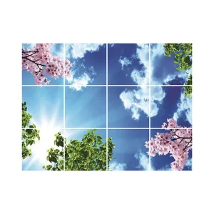 تایل سقفی آسمان مجازی مدل R14 سایز 60*60 سانتی متر مجموعه 12 عددی