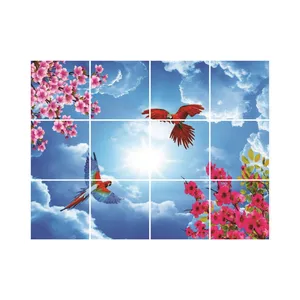 تایل سقفی آسمان مجازی مدل R31 سایز 60*60 سانتی متر مجموعه 12 عددی
