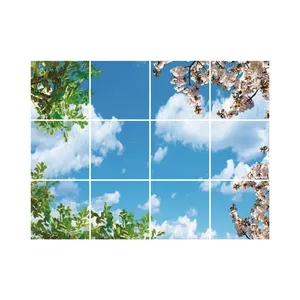 تایل سقفی آسمان مجازی مدل R32 سایز 60*60 سانتی متر مجموعه 12 عددی