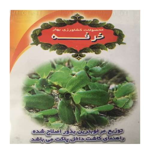 بذر خرفه محصولات کشاورزی بهار کد ck046