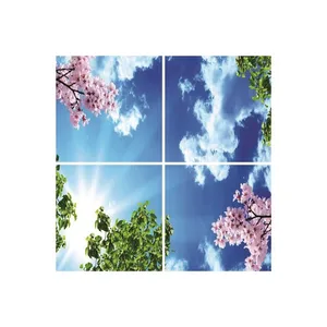 تایل سقفی آسمان مجازی مدل E13 سایز 60*60 سانتی متر مجموعه 4 عددی