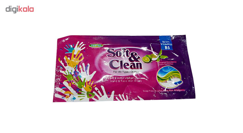 دستمال مرطوب سافت اند کلین مدل hand بسته 12 عددی
