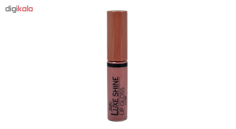رژ لب مایع آنیکا مدل Luxe Shine شماره L17
